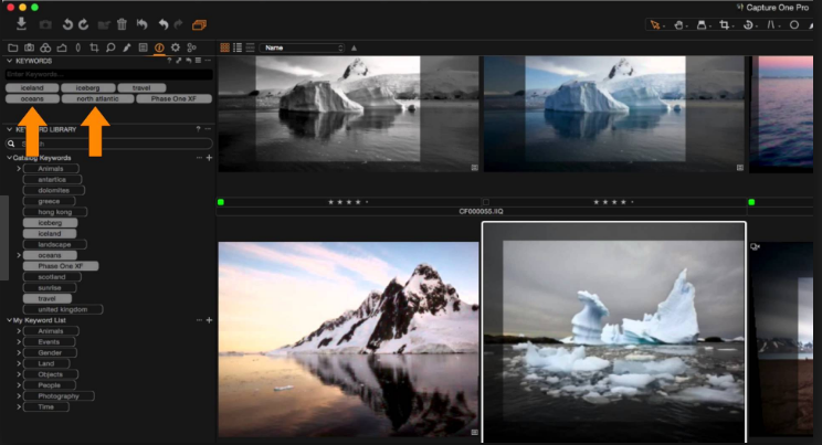 Capture One 23 Pro 16.2.2.1406 instal the new version for windows